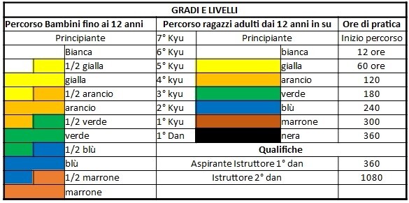 programma graduazione